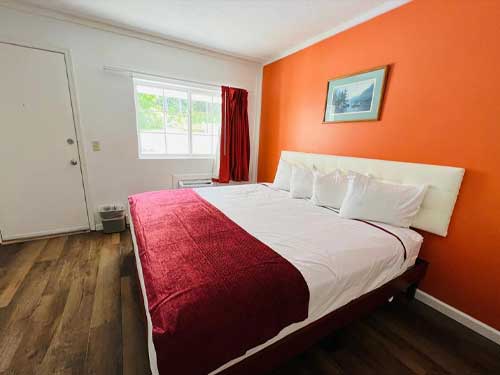 King Bed Room
